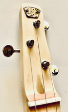 Load image into Gallery viewer, Electric Cigar Box Guitar Secret Society 3 String